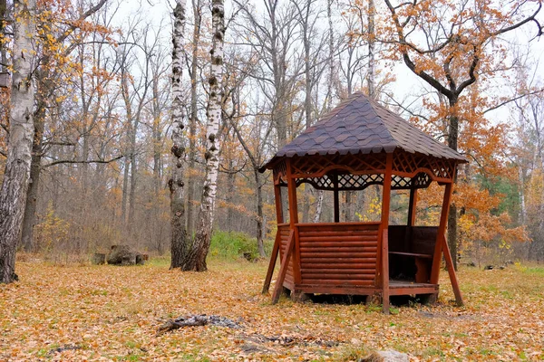 Public Gazebo Wooden Pavilion Autumn Forest Forest Rest Picnic Camping — Stock Photo, Image