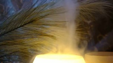 Yayıcı ve aroma lambasından buharlaşma. Aromatik duman, gerekli yağlardan çıkan buhar. Eve parfüm sıkıyorum. Bitki özü. Aromaterapi, aromapsikoloji