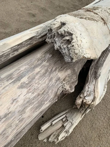 Tree and its structure. Gray wood, texture.An old, dried up stump on the ocean, washed by the waves. Stumps are the basis for homemade furniture.