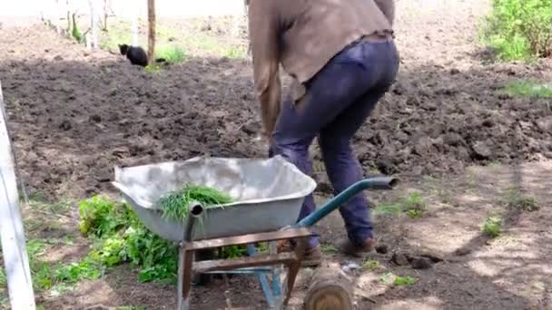 Homem Trabalha Terra Cavando Terra Com Uma Forquilha Fertilização Terra — Vídeo de Stock