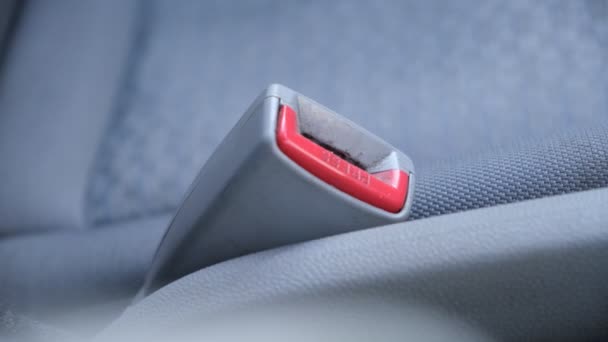 Hebilla Del Cinturón Seguridad Sistema Seguridad Coche Enchufe Para Engañar — Vídeos de Stock