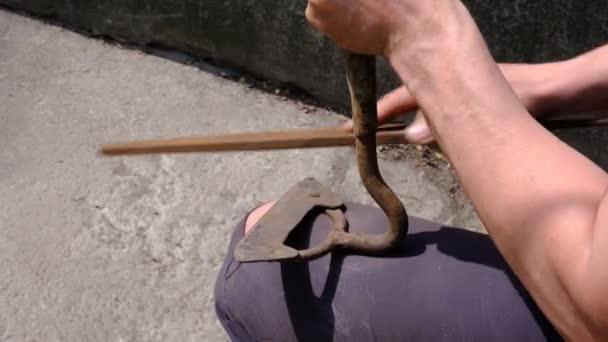Process Sharpening Hoe Garden Tools Prepared Male Hands Work Ground — Stock Video