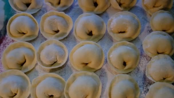 Halvfärdiga Dumplings Deg Fylld Med Kött Traditionell Rysk Maträtt Mjöl — Stockvideo