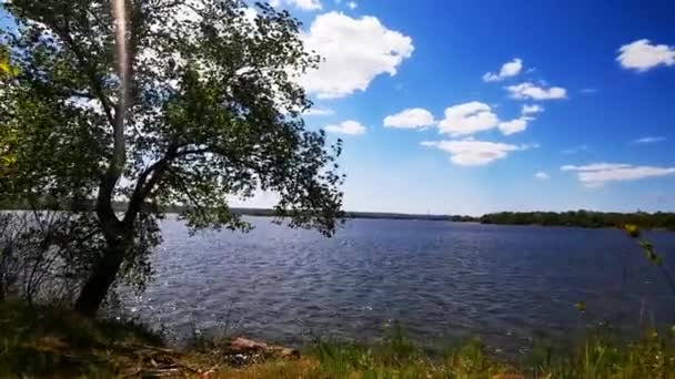 Берег Днепра Водный Поток Парковая Зона Воды — стоковое видео