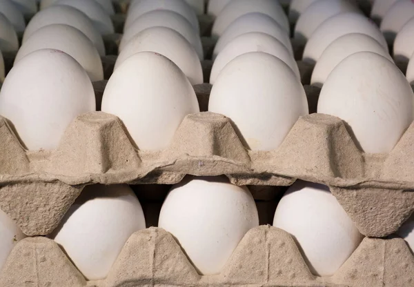Eggs in cardboard boxescorton.Protein food, white eggs in large quantities.