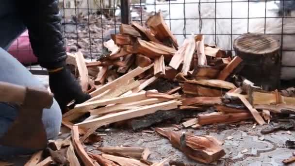 人类在砍柴 伐木工人在为炉子准备柴火 为一个固体燃料沸腾的冬天作准备 干枯的枝条和适于燃烧的木棍 烧烤的点火器 — 图库视频影像