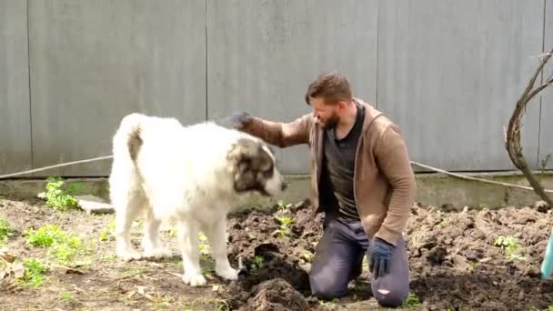 Büyük Güçlü Bir Köpek Yükseğe Zıplar Sahibi Ile Bahçede Oynar — Stok video