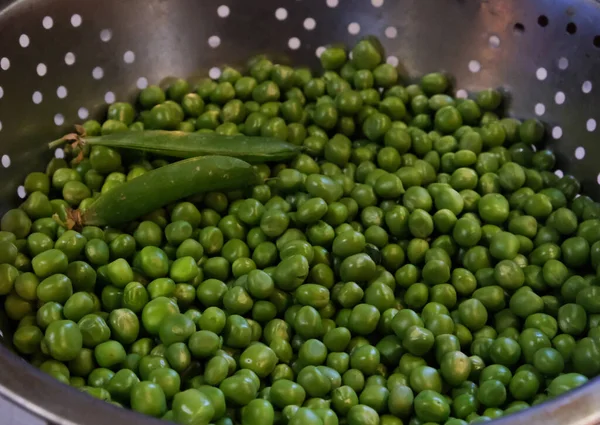 Fresh Green Peas Vicia Many Bean Pods Light Background Flowering — Foto de Stock