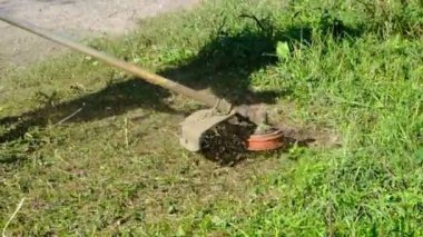 Çim biçme makinesi. Bir adam kalın bir çim biçer. Bahçe bakımı, manzara iyileştirmesi. Bahçe malzemeleri. Elektrikli çim biçme makinesi. Bitki ve yabani otların temizlenmesi. yatay resim