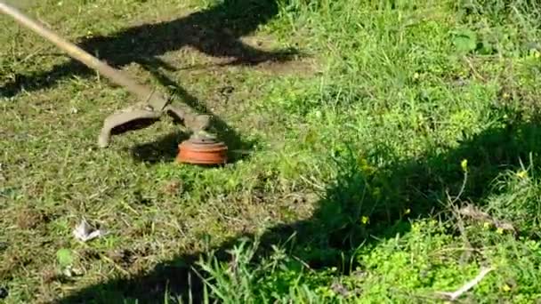 Cortacésped Hierba Verde Hombre Corta Césped Grueso Cuidado Del Jardín — Vídeo de stock