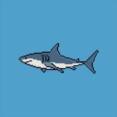 Piksel sanat tasarımı olan köpekbalığı. Vektör illüstrasyonu.