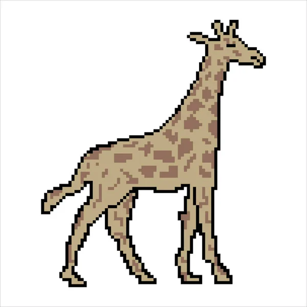 Girafe Avec Pixel Art Design Sur Fond Blanc Illustration Vectorielle — Image vectorielle