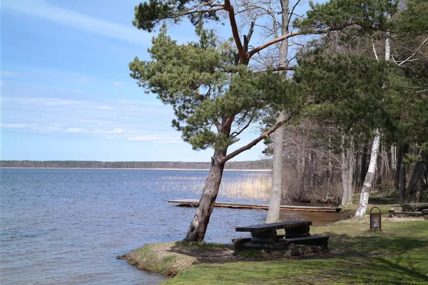 Parktaki göl manzarası çok güzel.
