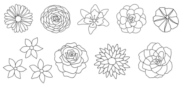 Ilustración de las flores sobre un fondo blanco. — Archivo Imágenes Vectoriales