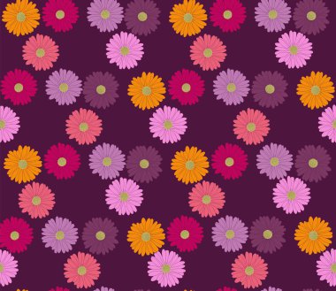 Şarap böğürtleninin arka planında desensiz Afrika papatyası çiçeği