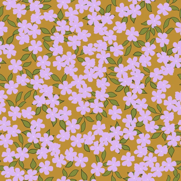 Cape Leadwort çiçeği kusursuz bir desen açıyor.