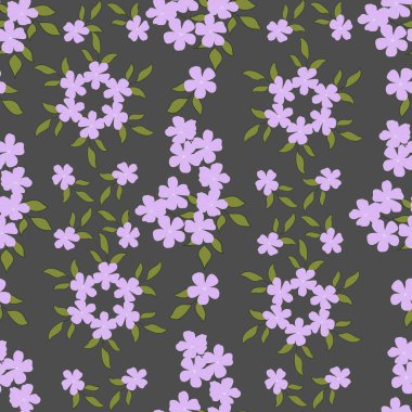 Cape Leadwort çiçeği kusursuz bir desen açıyor.