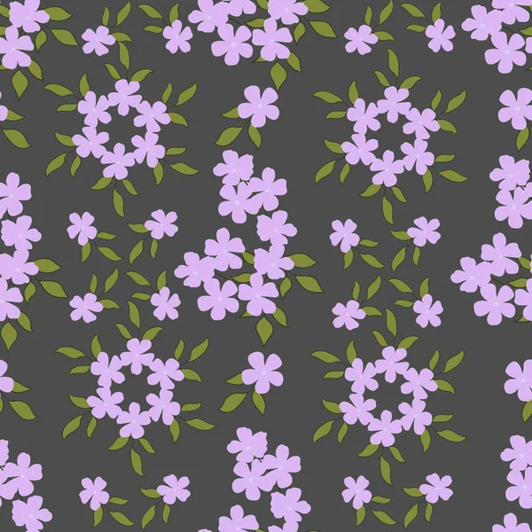 Cape Leadwort çiçeği kusursuz bir desen açıyor.