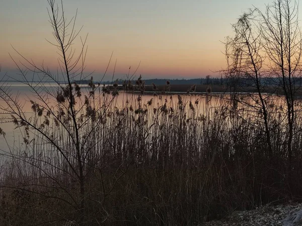 Ηλιοβασίλεμα Στο Δέντρο Στο Χωράφι — Φωτογραφία Αρχείου