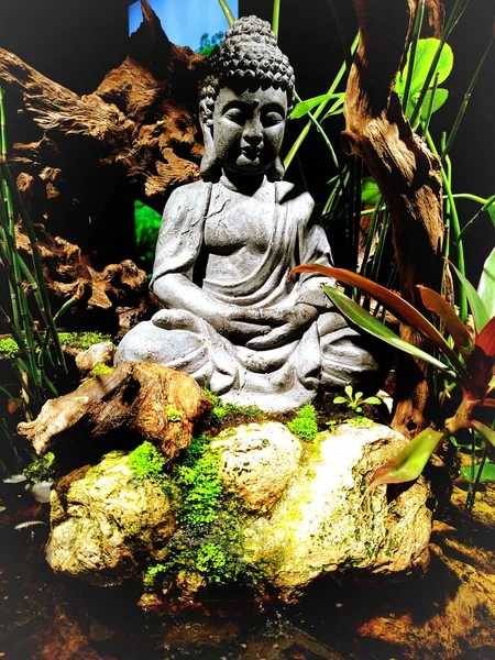 Statue Bouddha Dans Parc — Photo