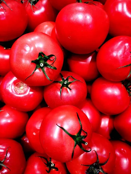 Tomates Vermelhos Sobre Fundo Branco — Fotografia de Stock