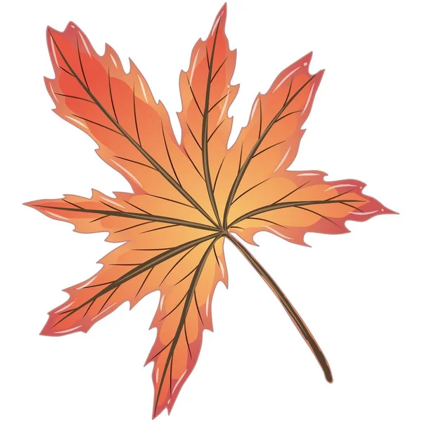 Vector Illustration Maple Leaf Easy Isolation Background Perfect Autumn Design — Stock Vector