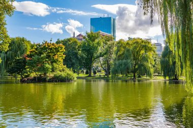Boston Halk Bahçeleri 'nde Yaz Günü, Massachusetts, ABD