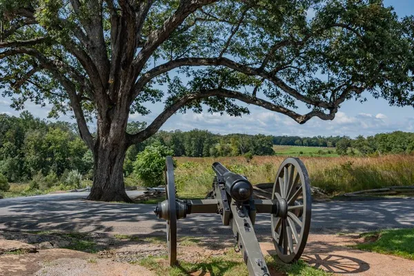 Witness Tree Cannon Devilsden Gettysburg National Military Park Pensilvânia Eua — Fotografia de Stock