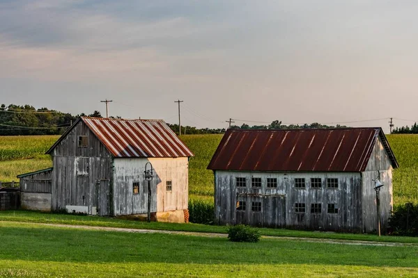 Δύο Old Barns Summer Evening York County Pennsylvania Usa — Φωτογραφία Αρχείου