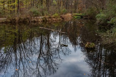 Sonbahar Günbatımı Yansımaları, York County, Pennsylvania, ABD