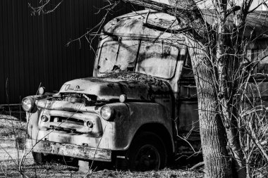 Terk Edilmiş Okul Otobüsü, Heritage Rail County Park, New Freedom, Pennsylvania, ABD