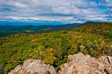 Virginia, Shenandoah Ulusal Parkı 'nda Sonbaharın Başları Yürüyüşü, ABD