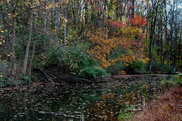 Feuillage Automne Étang Comté York Pennsylvanie États Unis — Photo