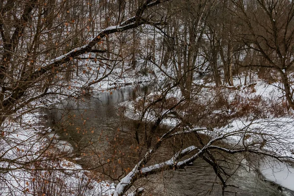 Codorus Creek Nach Dem Schneesturm York County Pennsylvania Usa — Stockfoto