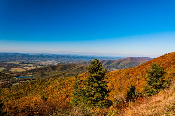 수정처럼 가을의 Appalachians Shenandoah National Park Virginia Usa — 스톡 사진