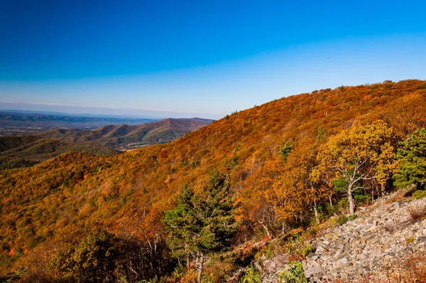 Outono Nas Montanhas Blue Ridge Parque Nacional Shenandoah Virgínia Eua — Fotografia de Stock