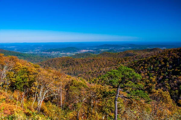 Virginias Beautiful Autumn Colors Shenandoah National Park Virginia Verenigde Staten — Stockfoto