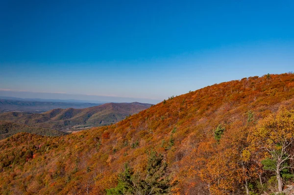 Beautiful Appalachian Mountains Shenandoah National Park Virginia Verenigde Staten — Stockfoto
