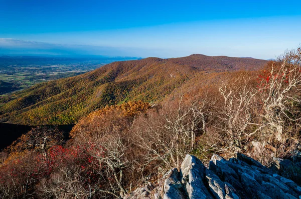 Autumn Appalachian Summit Shenandoah National Park Virginia Verenigde Staten — Stockfoto