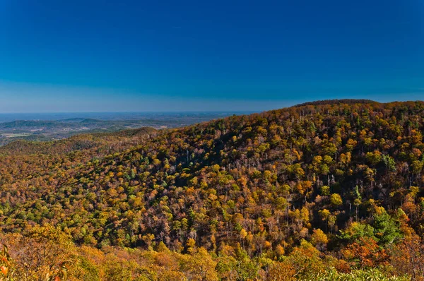 Blue Ridge Autumn Park Narodowy Shenandoah Virginia Usa — Zdjęcie stockowe