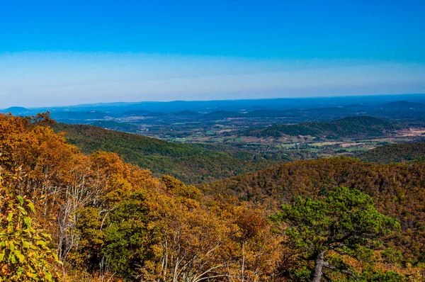 Herfstwandeling Appalachian Trail Shenandoah National Park Virginia Verenigde Staten — Stockfoto