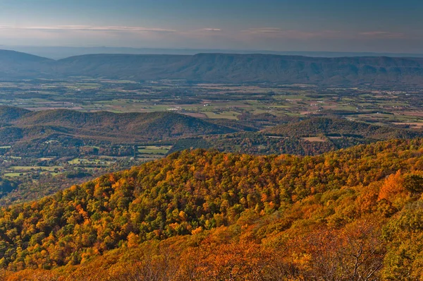 Massanutten Mountain Autumn Shenandoah National Park Virginia Verenigde Staten — Stockfoto