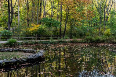 Göletteki Sonbahar Yaprakları ve Yansımaları, Richard M Nixon County Park, York County Pennsylvania, ABD