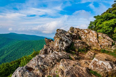 Rocky Zirvesi Appalachians, Shenandoah Ulusal Parkı, Virginia, ABD