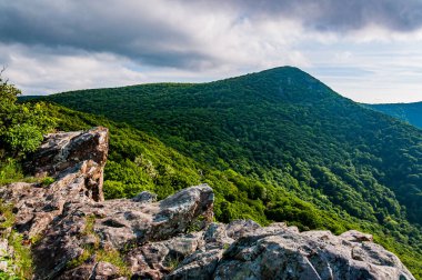 Hawksbill Mountain View from Little Stony Man Cliffs, Shenandoah Ulusal Parkı, Virginia, ABD