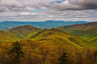 Baharda Shenandoah Ulusal Parkı, Virginia, ABD