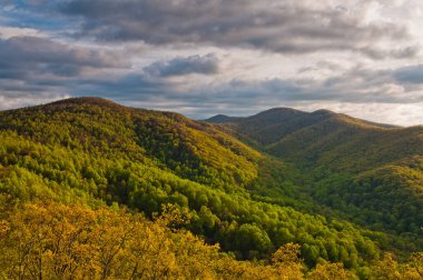 Shenandoah Ulusal Parkı, Virginia, ABD 'de bahar sonu.