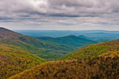 Appalachian Patikası 'ndan Güzel Manzaralar, Shenandoah Ulusal Parkı, Virginia, ABD