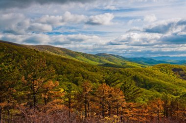 Güzel Dağ Manzarası, Shenandoah Ulusal Parkı, Virginia, ABD