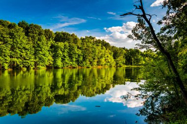 Marburg Gölü 'ndeki Bulut ve Ağaç Yansımalarının Fotoğrafı